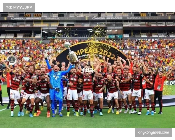 弗拉门戈晋级解放者杯决赛，路易斯称享受比赛过程